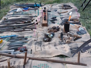 Dzień Łąki na Polu Nieborowskim z Fundacją „Kwietna” , 